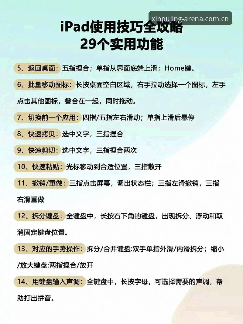 新莆京娱乐平台资深玩家分享：电脑版使用指南实战经验，从安装到畅玩的完整心得